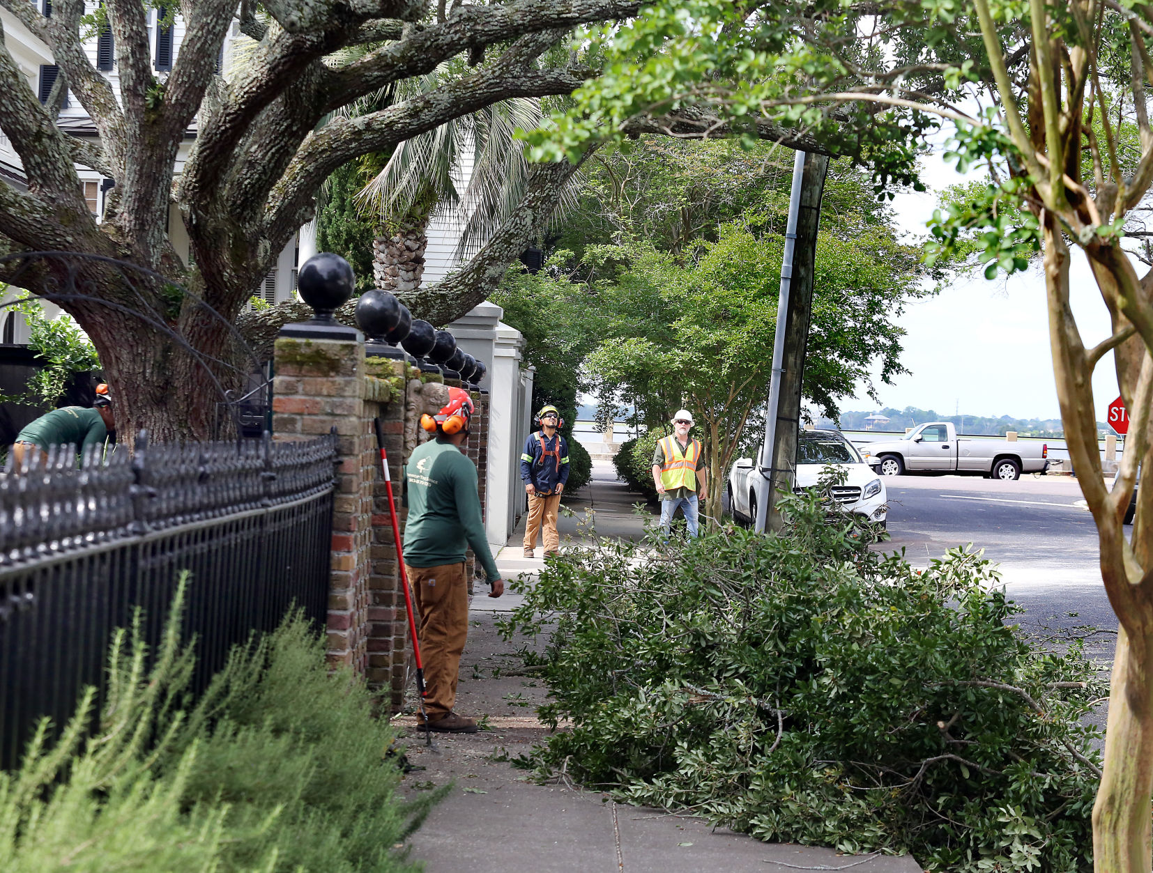 Dominion Trees